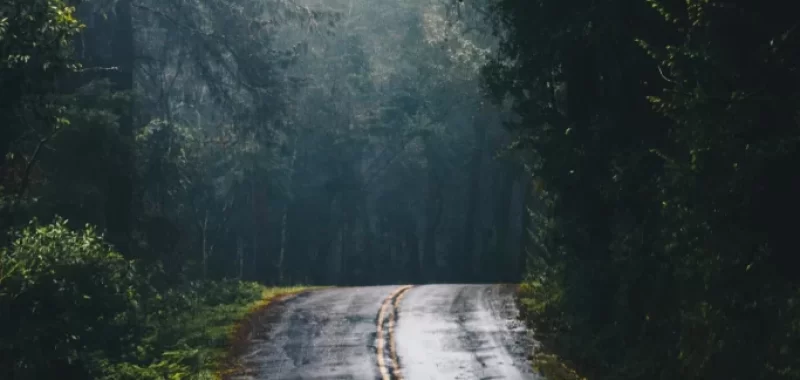 Carretera-De-Cemento-Gris-En-Medio-De-La-Jungla-Durante-El-Dia-giros-inseperados