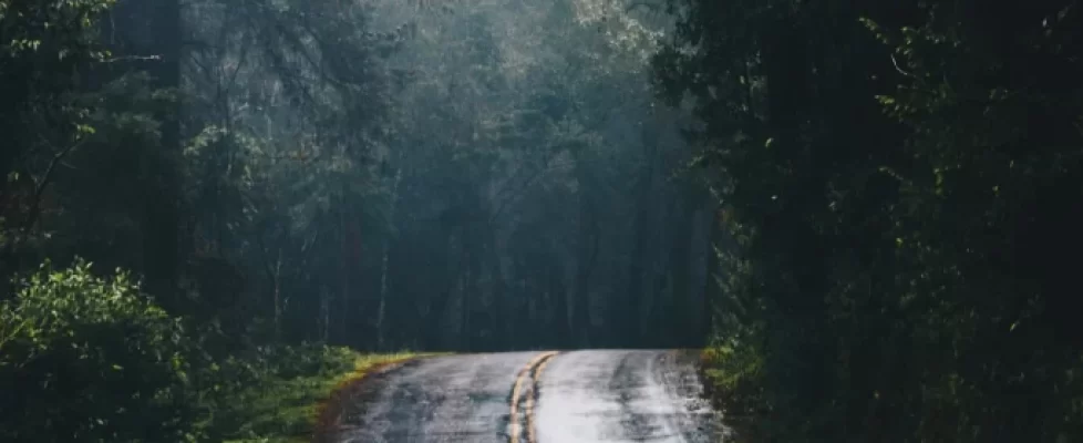 Carretera-De-Cemento-Gris-En-Medio-De-La-Jungla-Durante-El-Dia-giros-inseperados