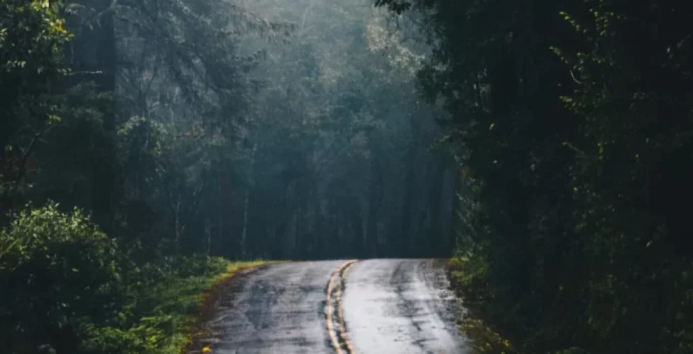 Carretera-De-Cemento-Gris-En-Medio-De-La-Jungla-Durante-El-Dia-giros-inseperados