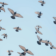 Aves volando con un cielo azul